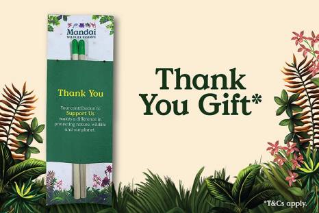 Thank You Gift. Thank you. Your contribution to Support Us makes a difference in protecting nature, wildlife and our planet. T&Cs apply.