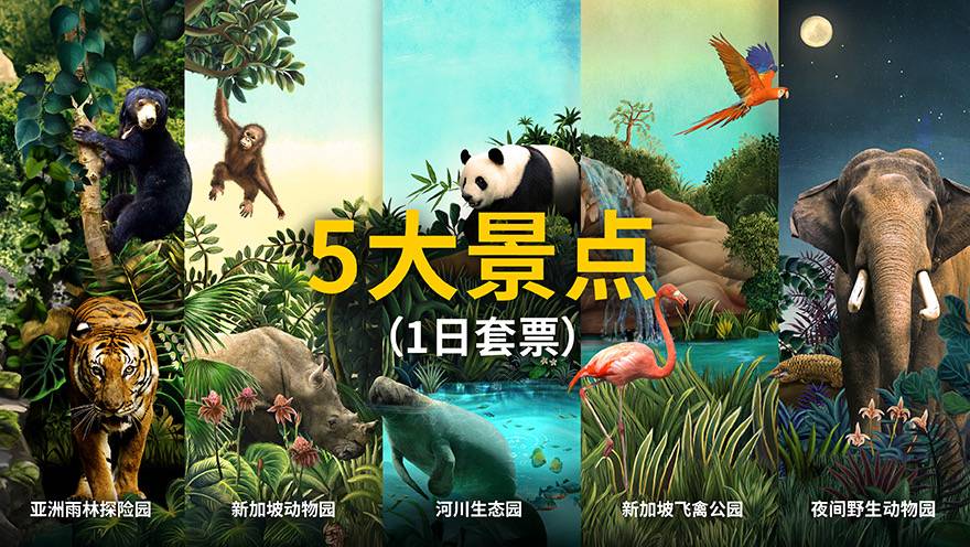 5大景点（1日套票）