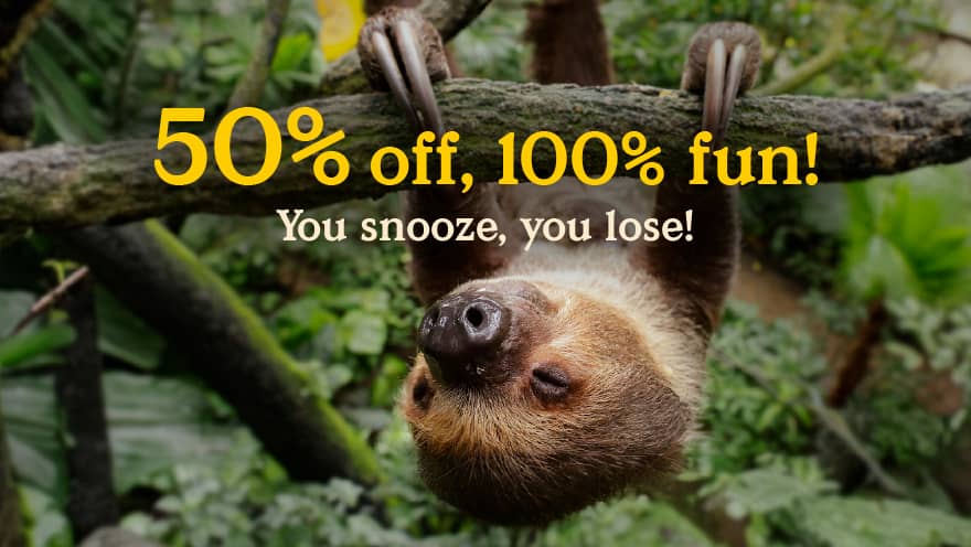 Discounts
