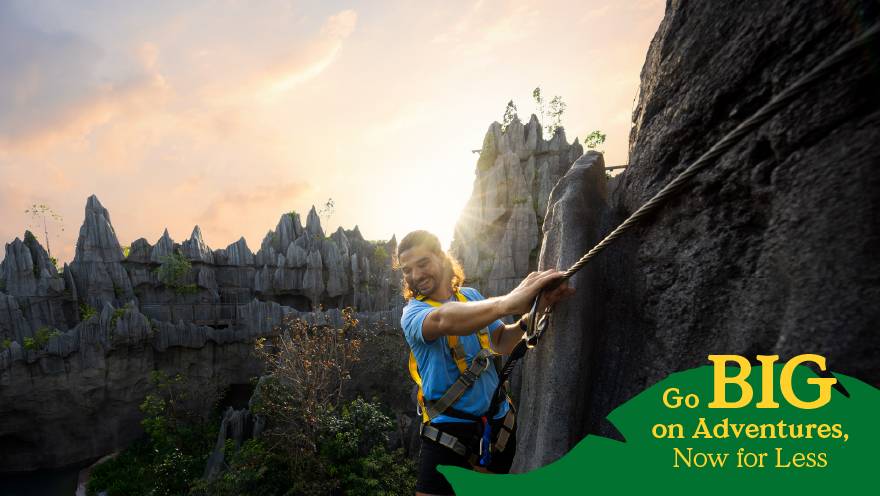 Rainforest Wild ASIA - Wild Apex Adventure Bundle