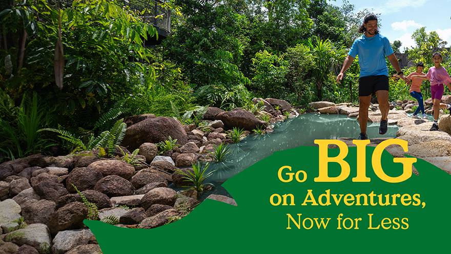 Rainforest Wild ASIA