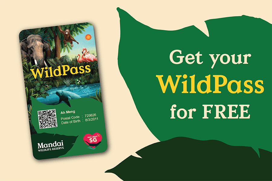 Image 32: Get your WildPass for FREE!