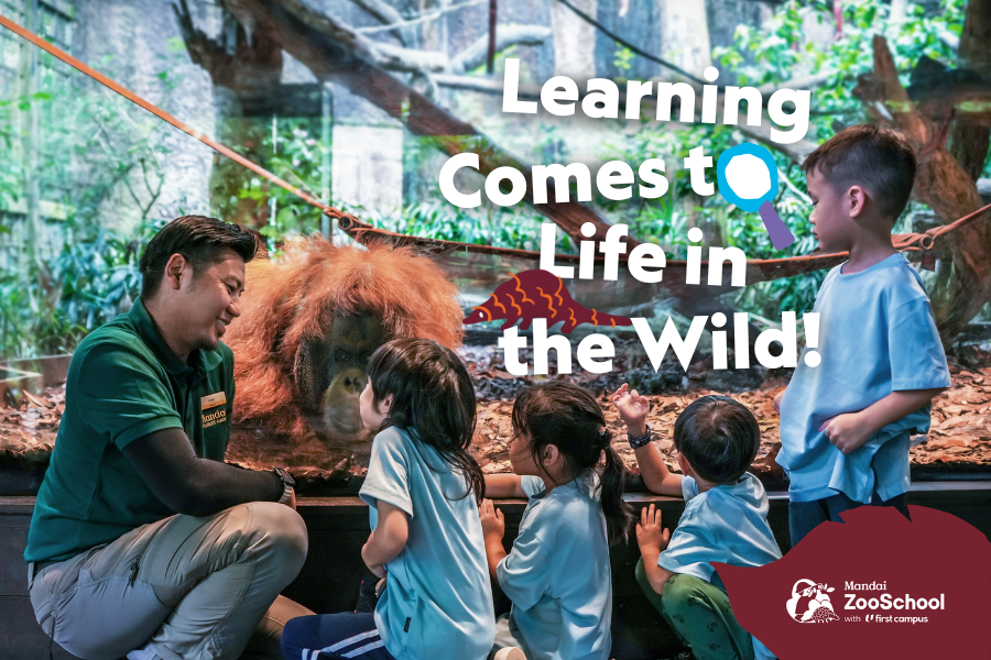 Welcome to ZooSchool