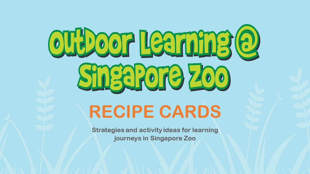 Outdoor Learning Recipe Cards