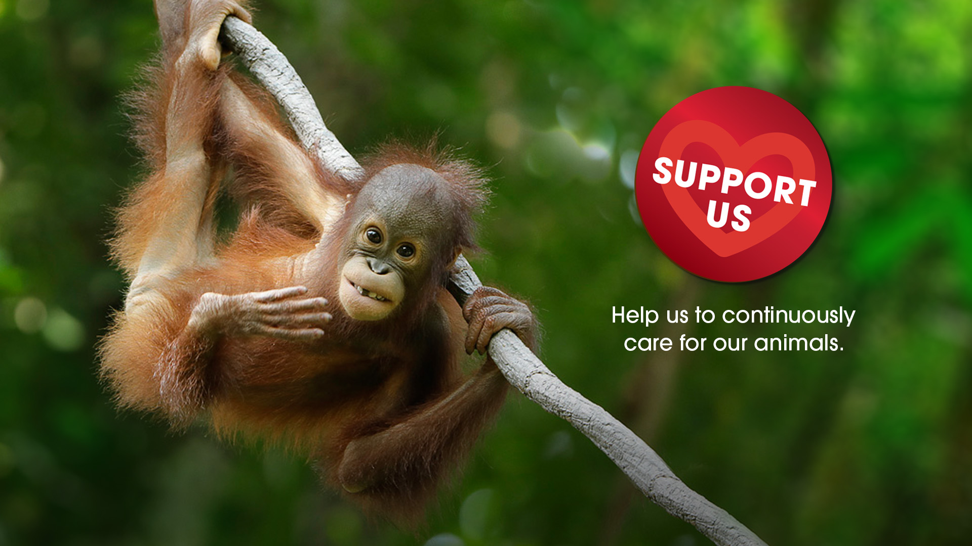  Do your part for Wildlife