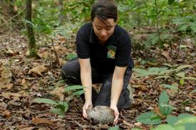 Rehabilitation of Local Wildlife