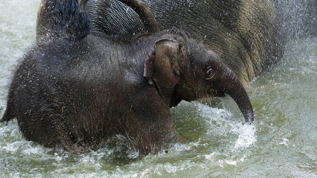 Could you share more about Neha? 