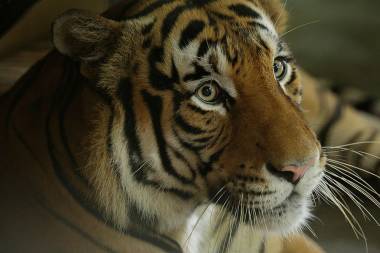 Prepare for your visit