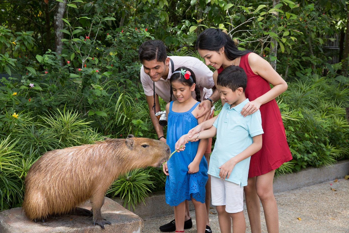 Press Room - River Wonders' new animal presentation Press Room - River Wonders' new animal presentation