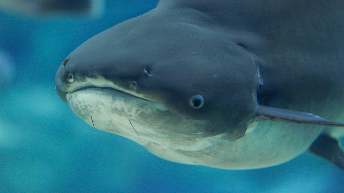 你在河川生态园工作多久了？