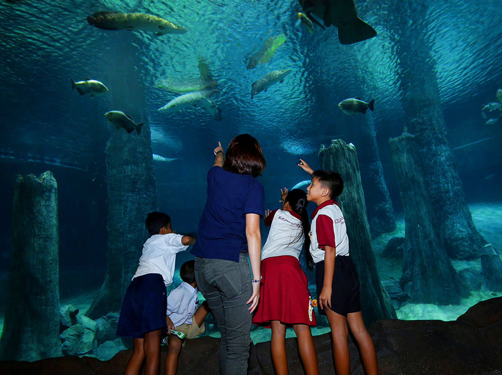 students at a guided tour of the Amazon flooded forest.