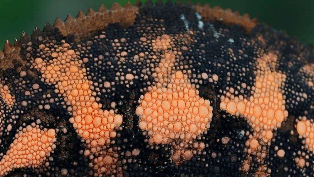 Colours switched by crystals