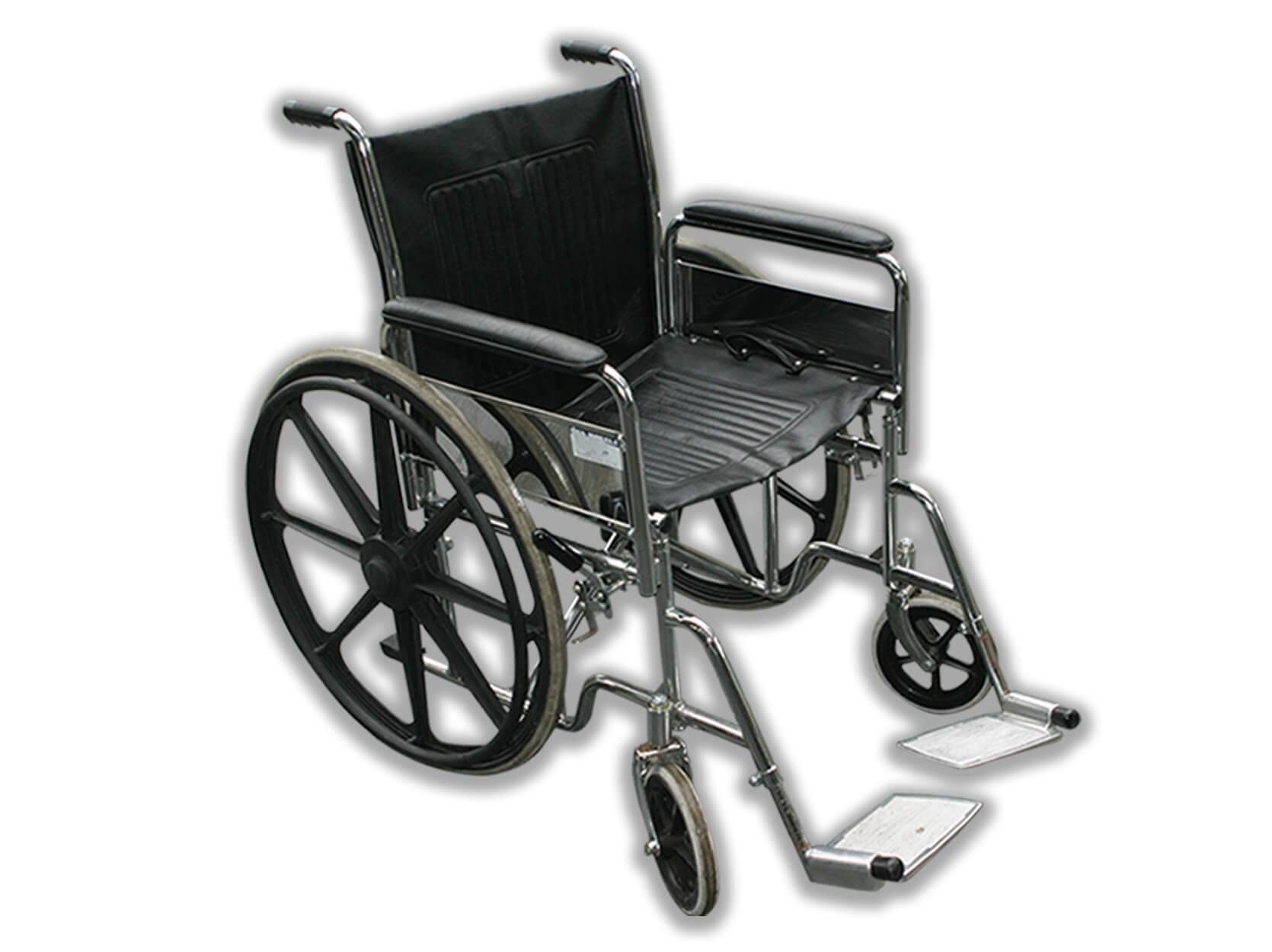 Getting Around Singapore Zoo