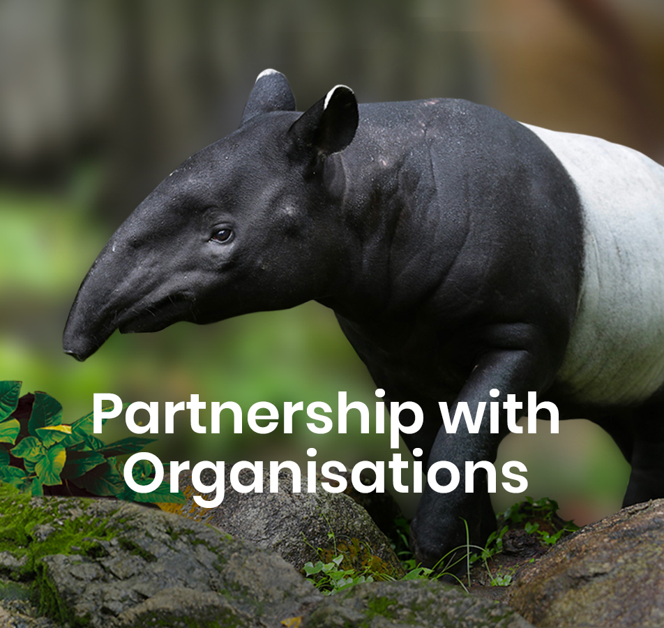 Partnership with Organisations | Mandai Wildlife Reserve Partnership with Organisations | Mandai Wildlife Reserve