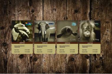 Adopter cards