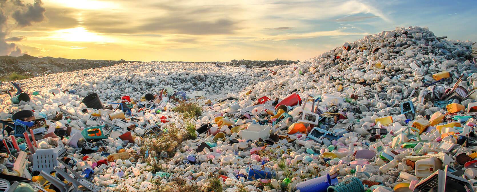 Recycling for Good Wildlife Reserves Singapore