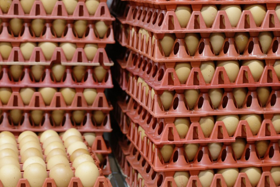 Reusable egg trays