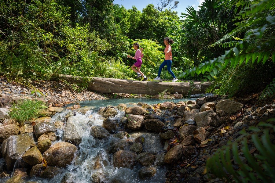 Log Crossing Trek, Rainforest Wild Adventure WEST