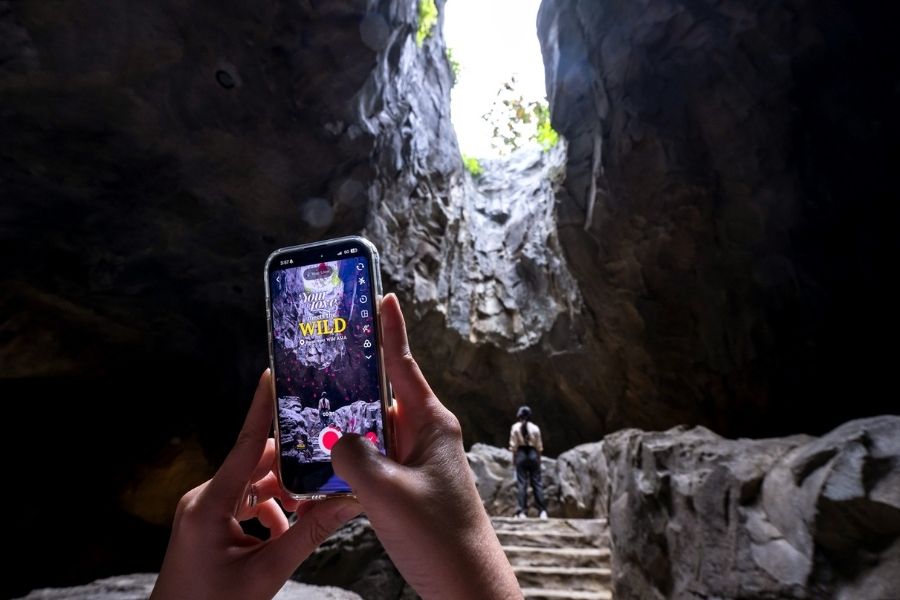 The Oculus, The Cavern, Rainforest Wild Adventure WEST