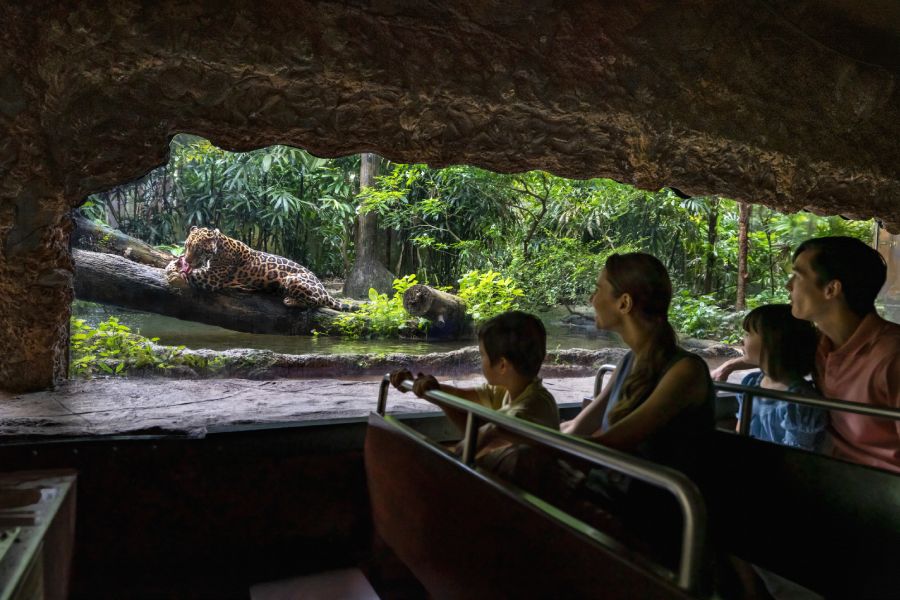 Amazon River Quest