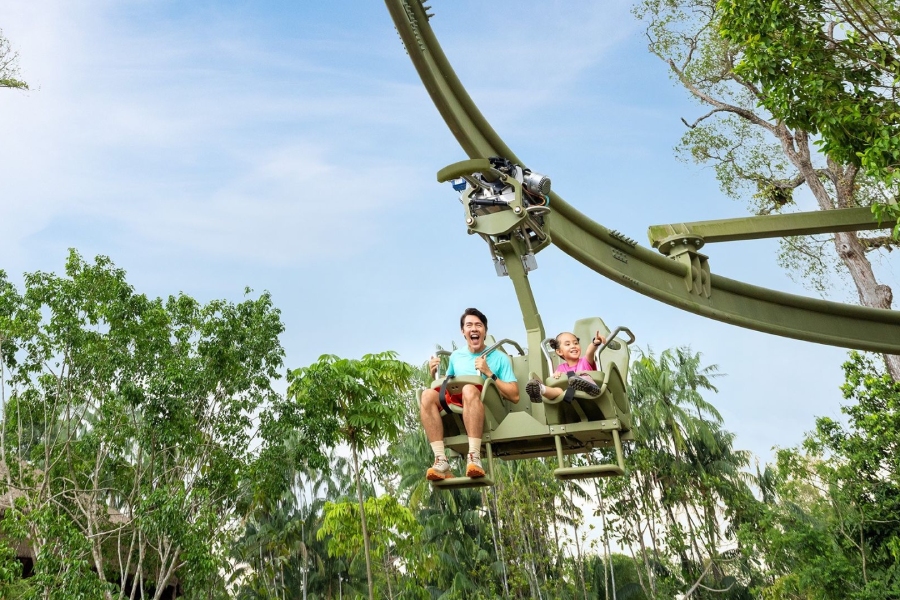 Canopy Glider