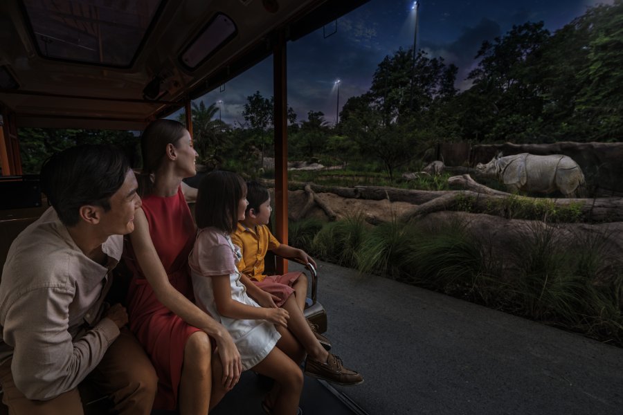 Safari Tram Adventure, Night Safari