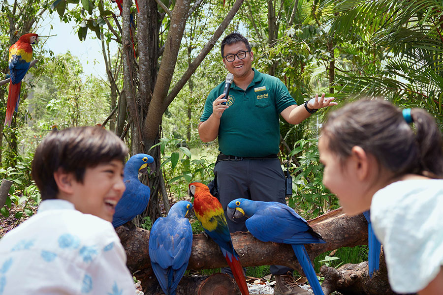 Macaw Keeper Talk at Hong Leong Foundation Crimson Wetlands, Bird Paradise 