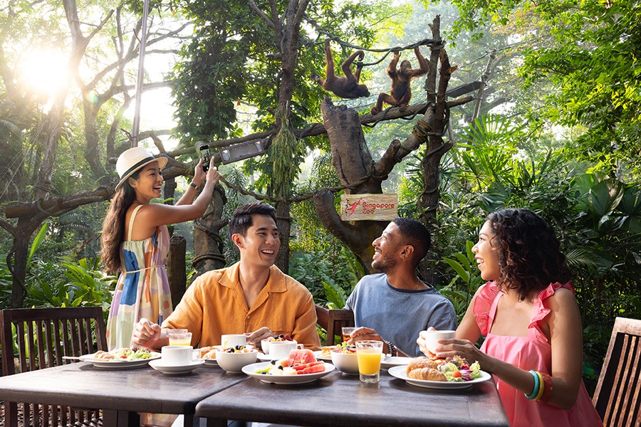 Breakfast in the Wild dining experience with animal ambassadors at Singapore Zoo