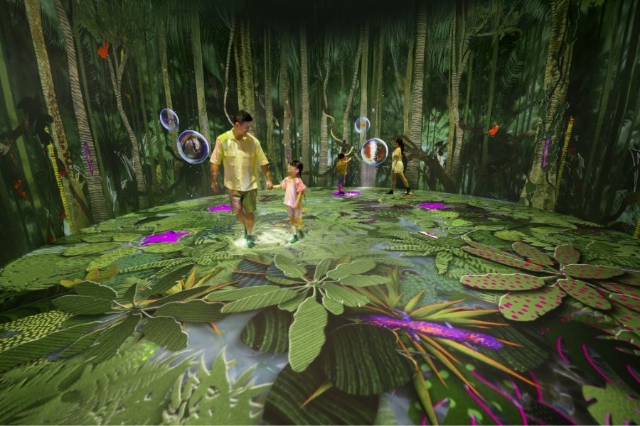 Interactive nature-inspired playscape for children at Curiosity Cove