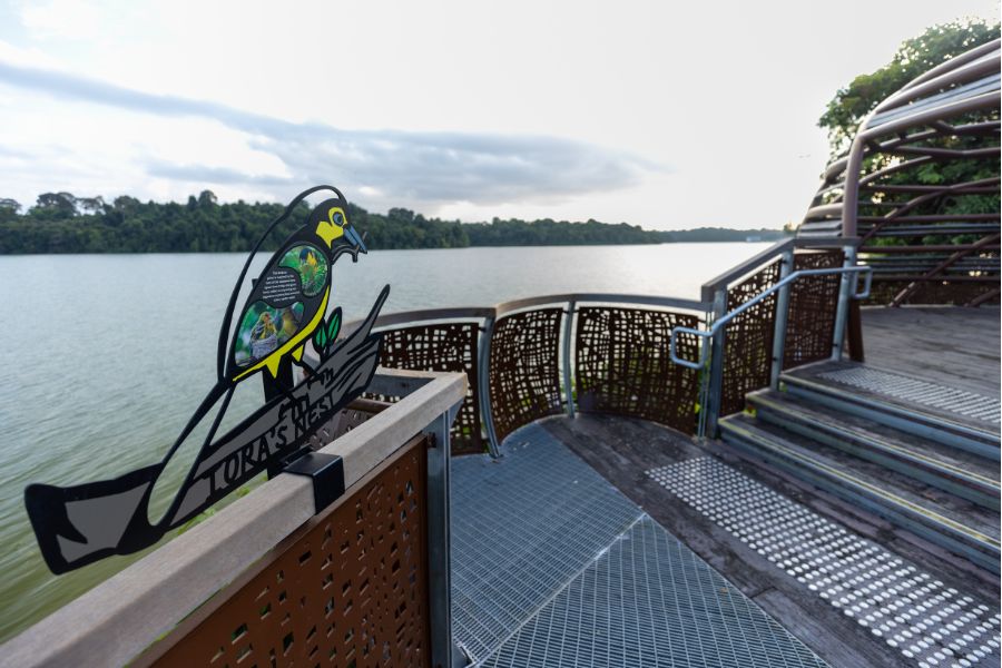 Immerse in nature and greenery at the free-to-access Mandai Boardwalk