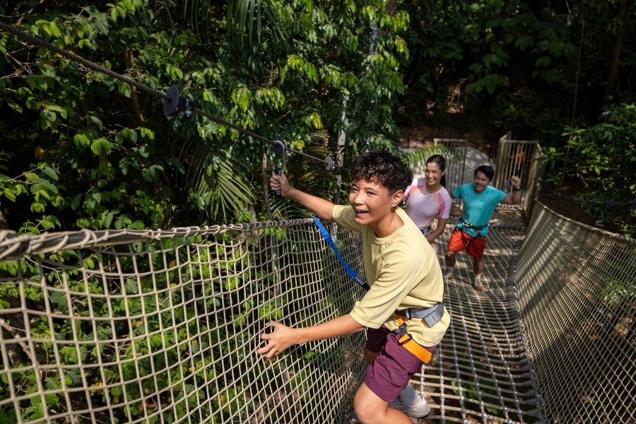 Treetop Traverse, Rainforest Wild Adventure