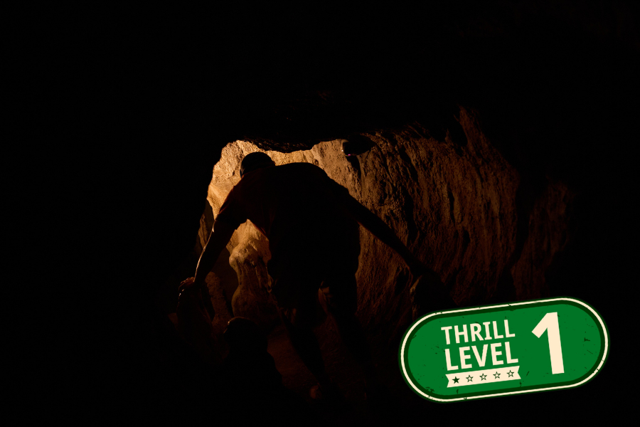 Cavern Crawl, Rainforest Wild Adventure