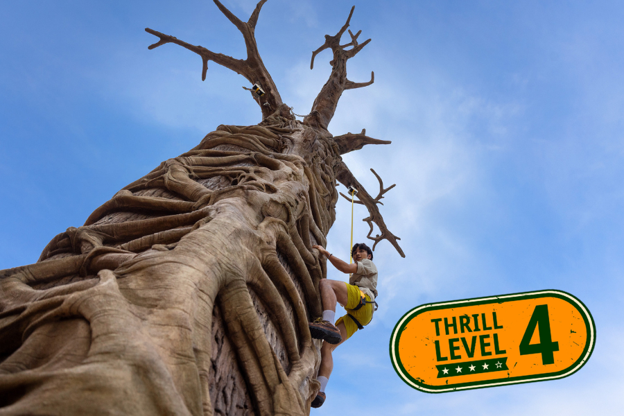 Primate Climb, Rainforest Wild Adventure