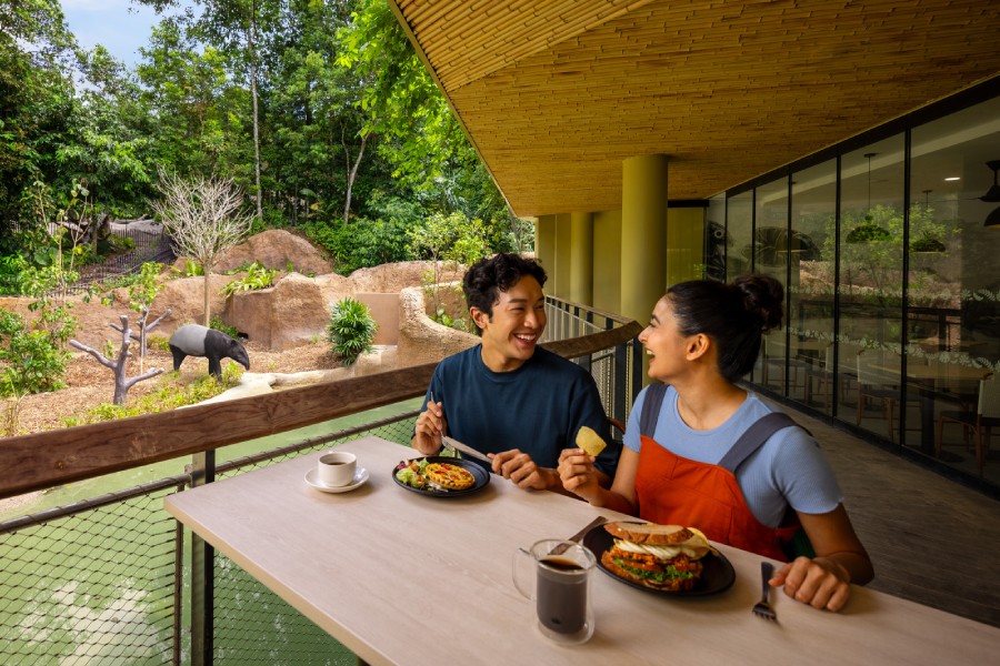 Watering Hole Cafe, Rainforest Wild Adventure