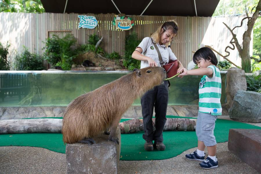 Once Upon a River Presentation, River Wonders