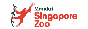 singapore-zoo